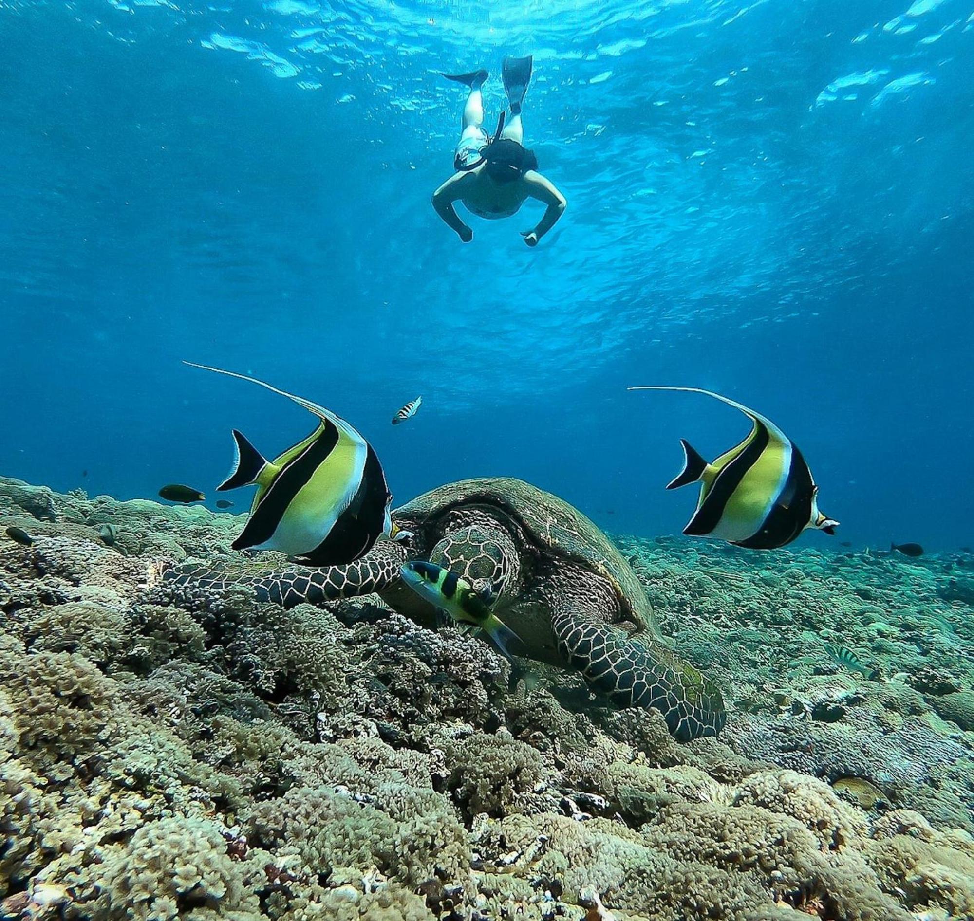 Kokomo Resort Gili Trawangan Kültér fotó